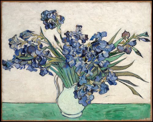 van Gogh, Irises